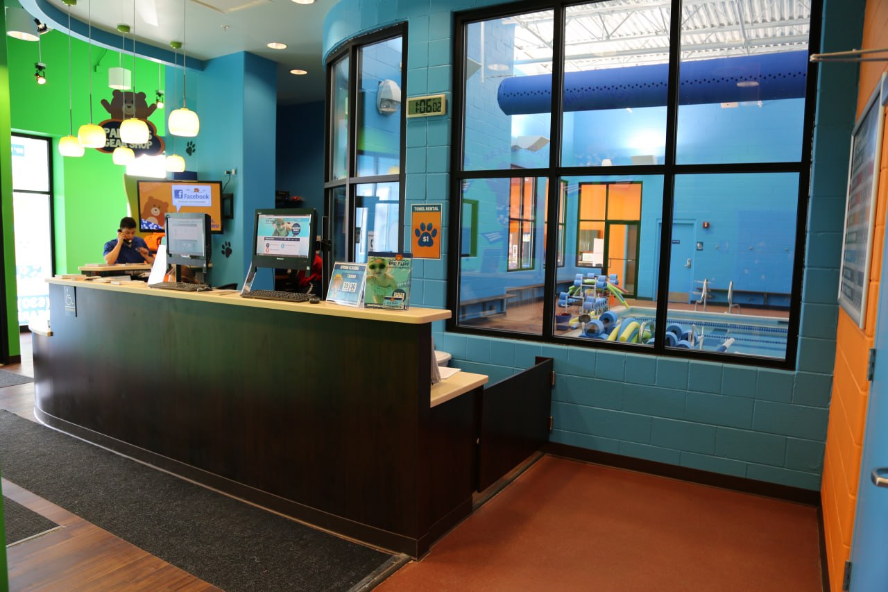 Dog daycare reception with indoor pool area